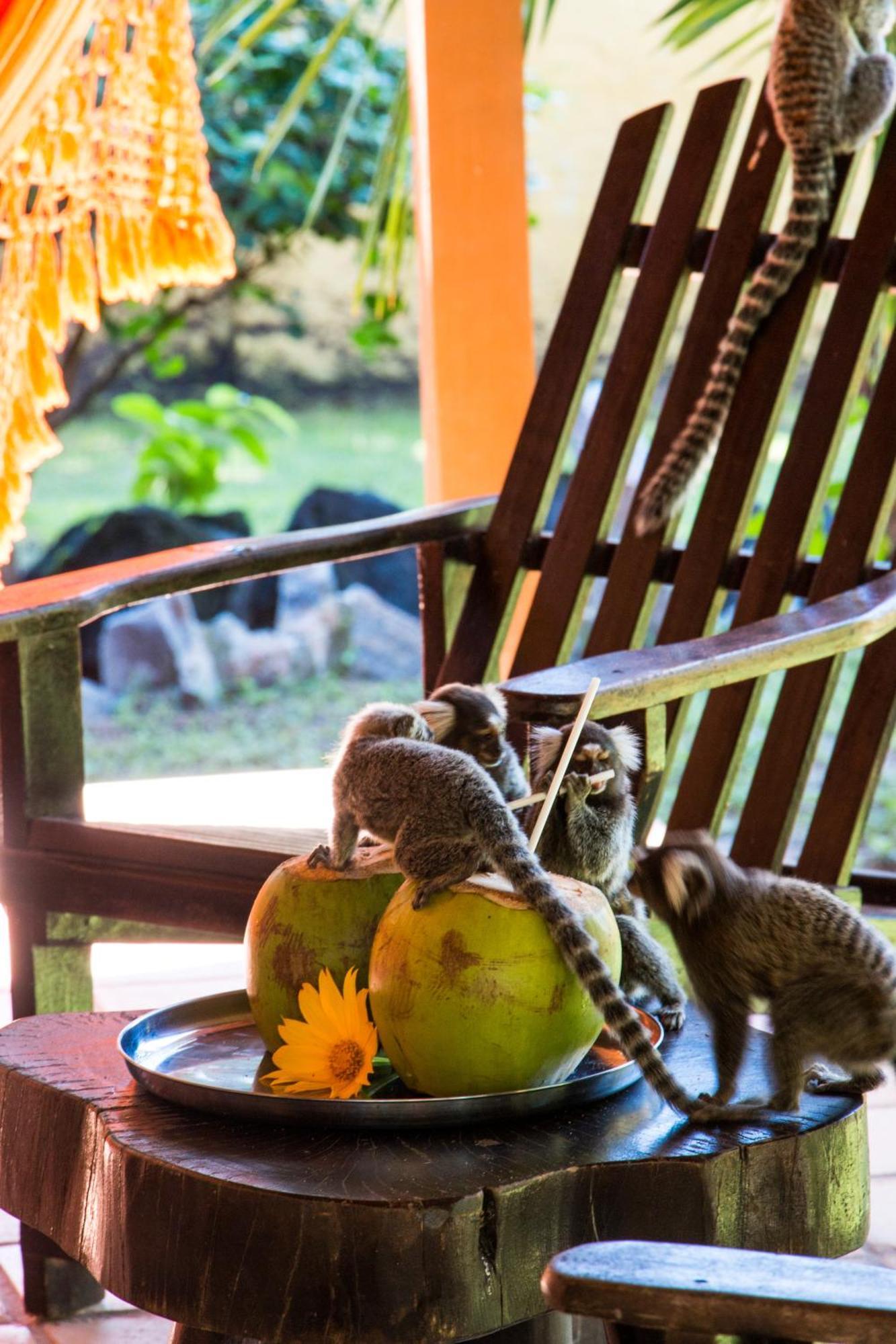Pousada Cacimbinhas Praia de Pipa Exteriör bild